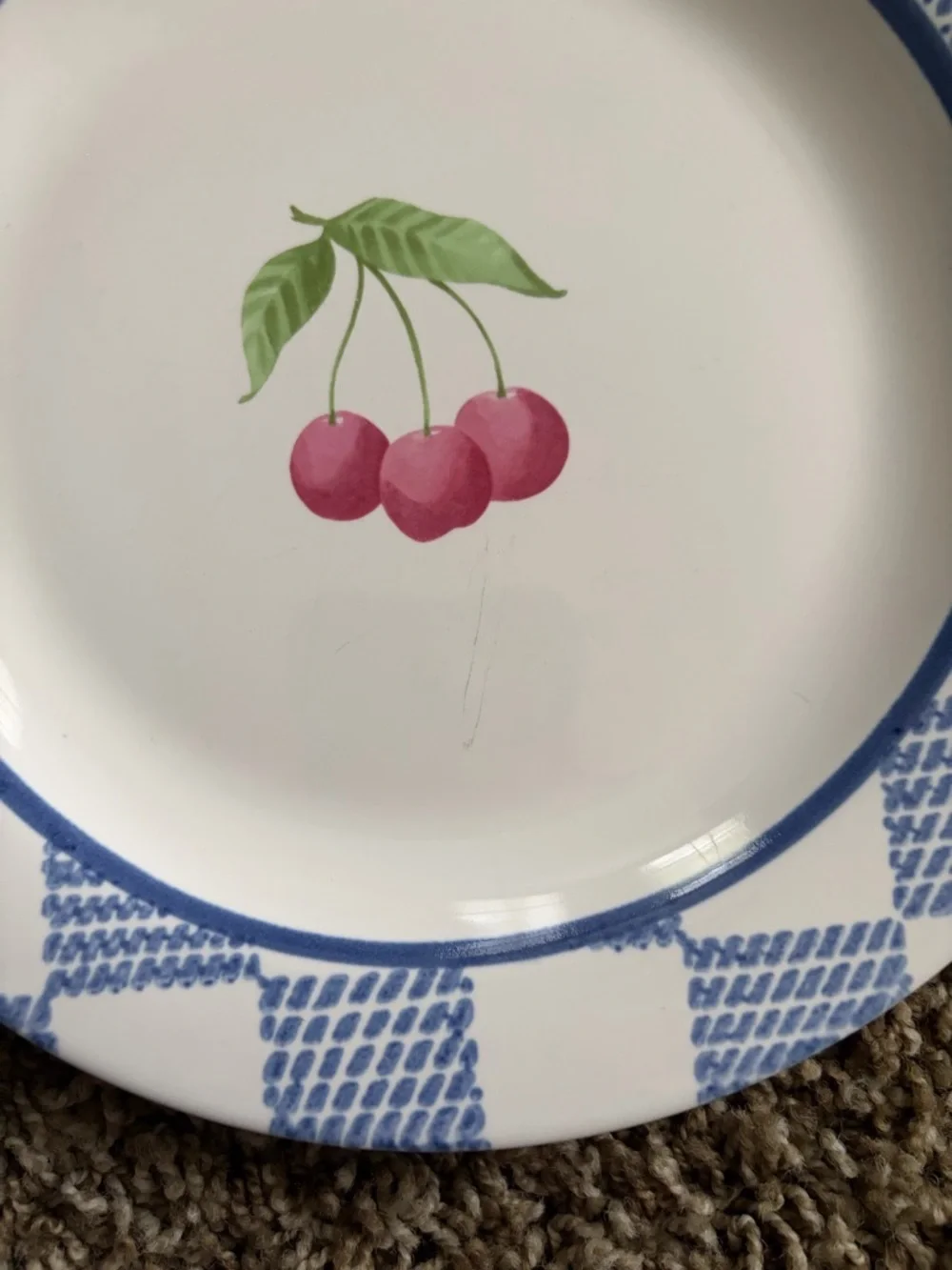 Pfaltzgraff Hopscotch Salad Plates 9”
